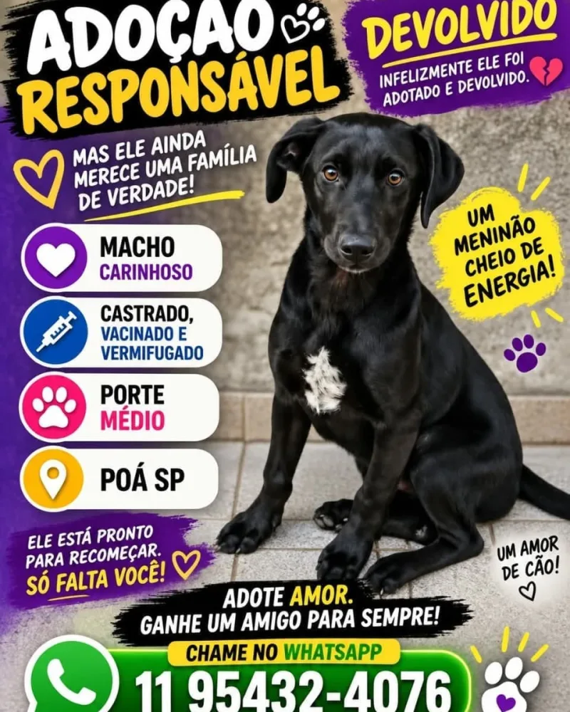Cachorro