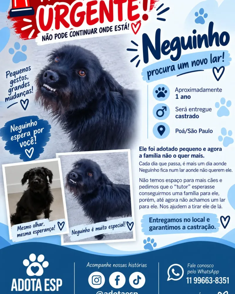 Cachorro - Neguinho