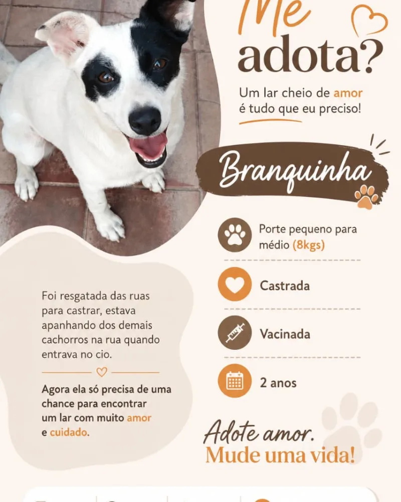 Cachorra - Branquinha